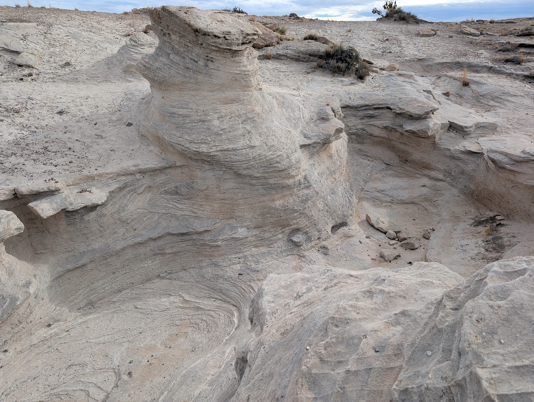 Public Health Automation Clinic